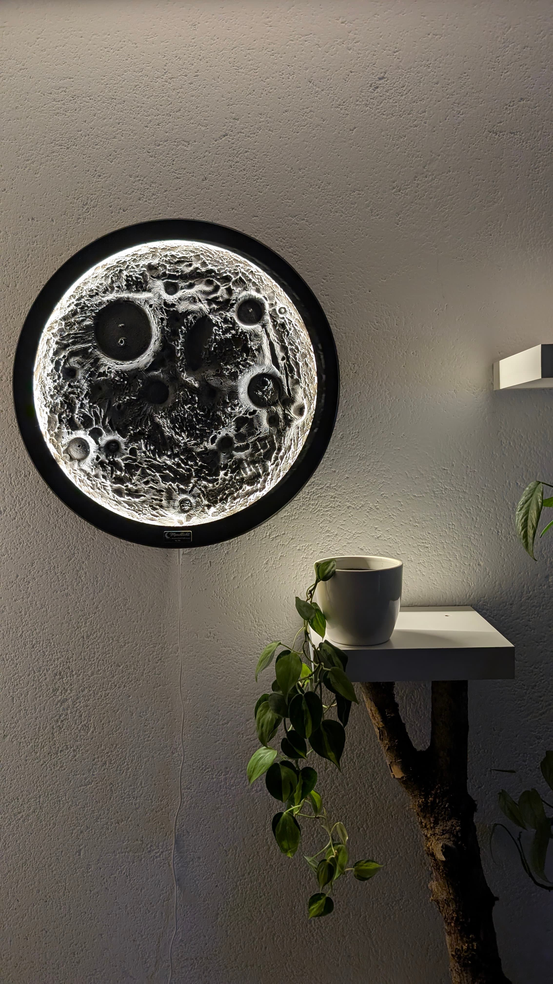 Beleuchtete Wandlampe in Mondoptik neben einer grünen Rankpflanze auf einem weißen Regal mit Ast-Stütze.