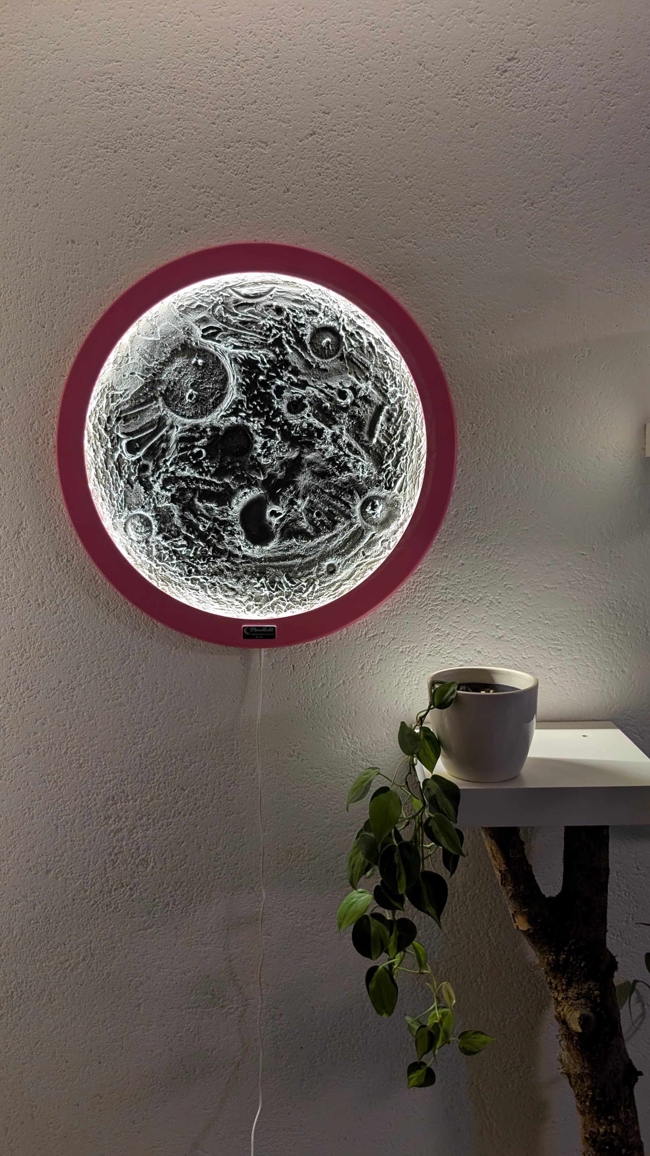 Leuchtende Mond-Wandlampe mit pinkem Rahmen neben einer hängenden Zimmerpflanze an einer weißen, strukturierten Wand.