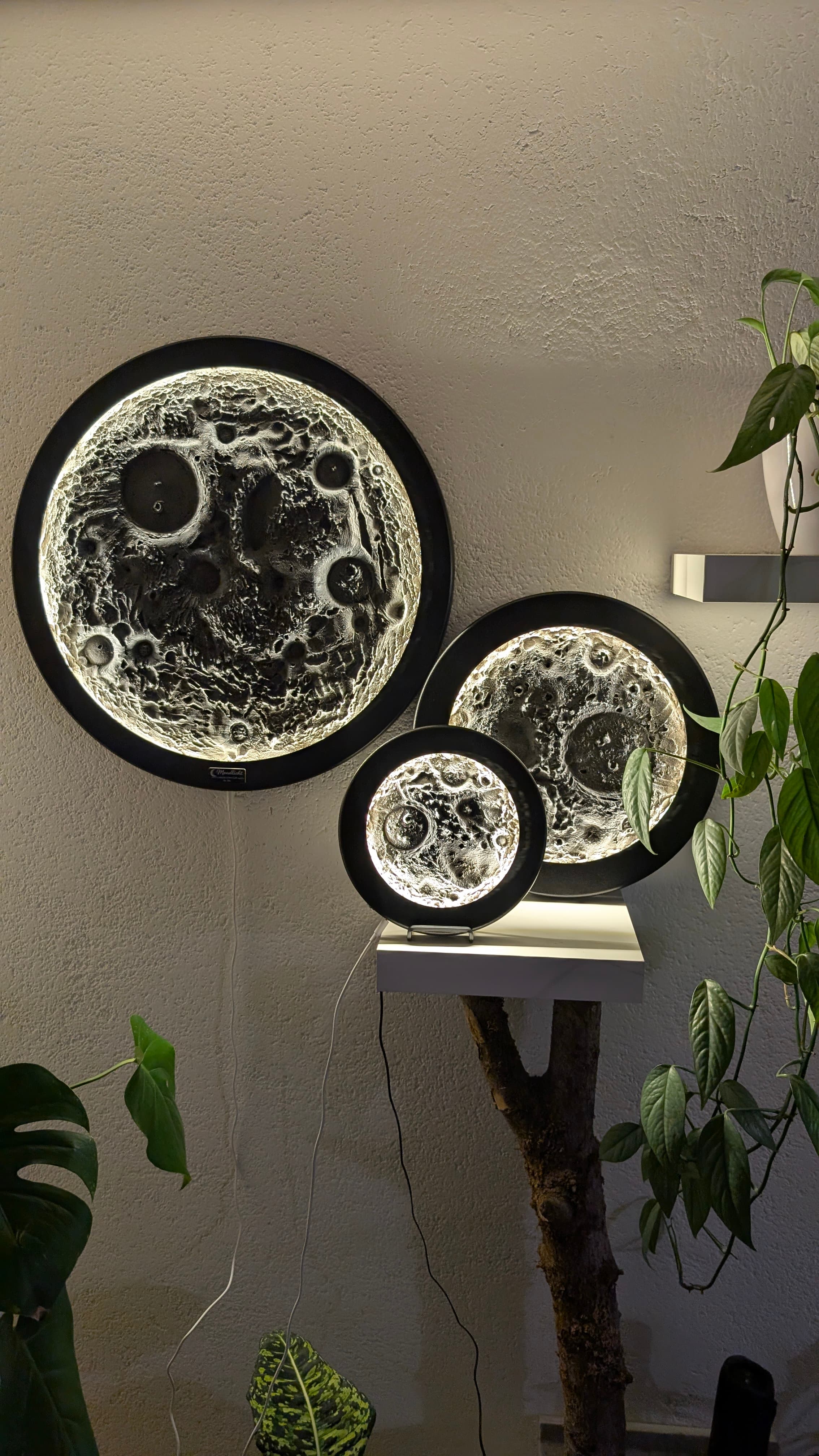 Drei unterschiedlich große, warm leuchtende Mondlampen mit Krateroberfläche an einer Wand zwischen grünen Zimmerpflanzen.