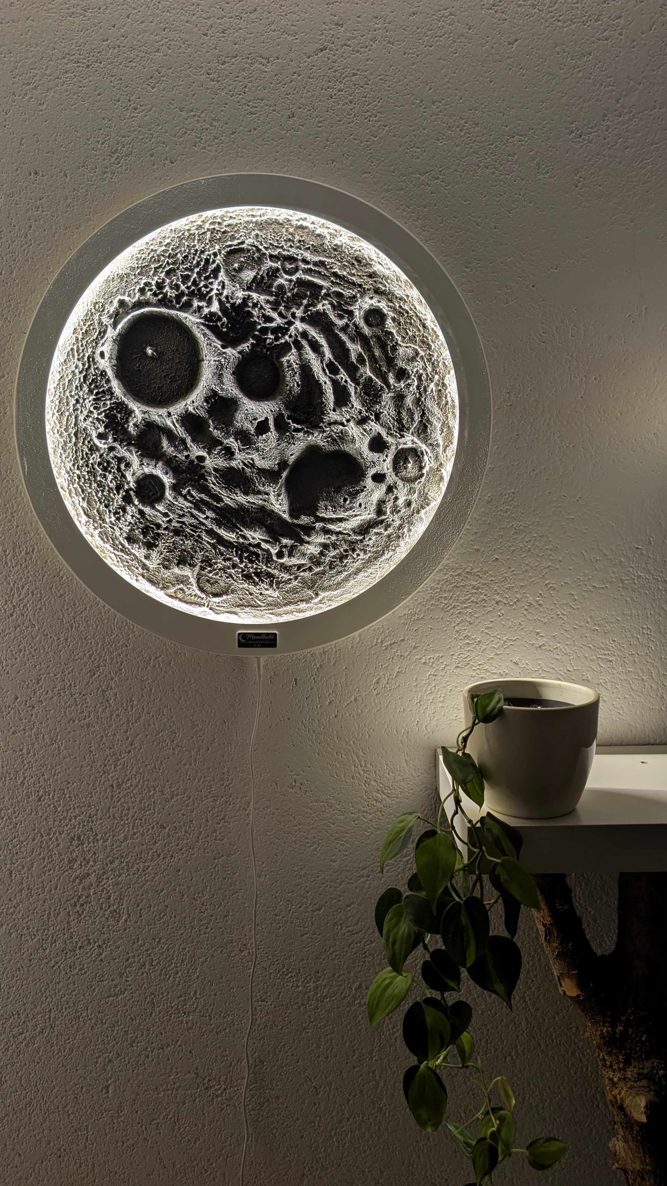 Leuchtende Wandlampe in detailreicher Mondoptik neben einer grünen Pflanze auf einem weißen Regal.